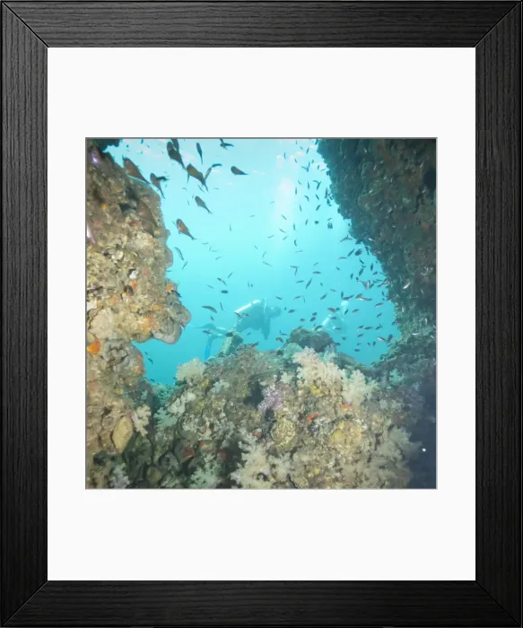 Framed Print : Scuba diving, Southern Thailand, Andaman Sea, Indian Ocean, Southeast Asia, Asia Framed Print : Scuba diving, Southern Thailand, Andaman Sea, Indian Ocean, Southeast Asia, Asia
