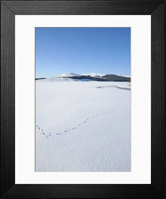 Framed Print : Clatteringshaws Loch, frozen and covered in winter snow, Dumfries & Galloway, Scotland Framed Print : Clatteringshaws Loch, frozen and covered in winter snow, Dumfries & Galloway, Scotland