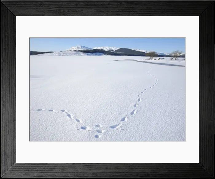 Framed Print : Clatteringshaws Loch, frozen and covered in winter snow, Dumfries and Galloway, Scotland, United Kingdom, Europe