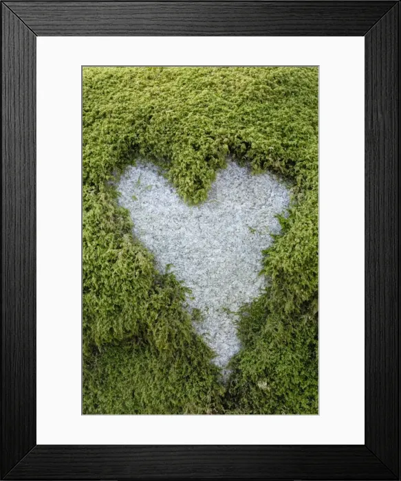 Framed Print : Love Heart shape in moss on granite bolder Framed Print : Love Heart shape in moss on granite bolder