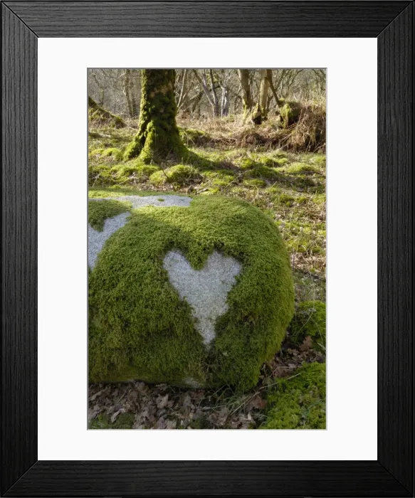 Framed Print : Love Heart shape in moss on granite bolder, United Kingdom, Europe Framed Print : Love Heart shape in moss on granite bolder, United Kingdom, Europe