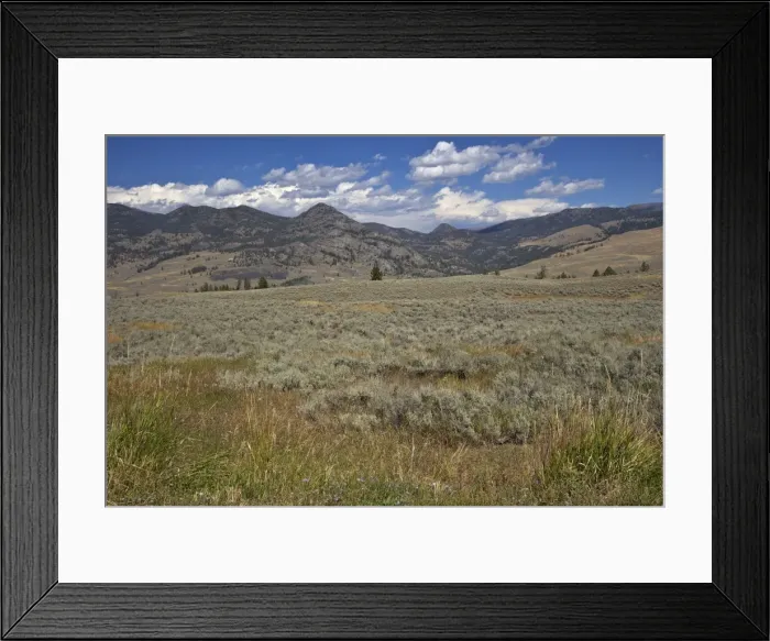 Framed Print : Landscape in Northern Yellowstone from Grand Loop Road, Yellowstone National Park, UNESCO World Heritage Site, Wyoming, United States of America, North America Framed Print : Landscape in Northern Yellowstone from Grand Loop Road, Yellowstone National Park, UNESCO World Heritage Site, Wyoming, United States of America, North America