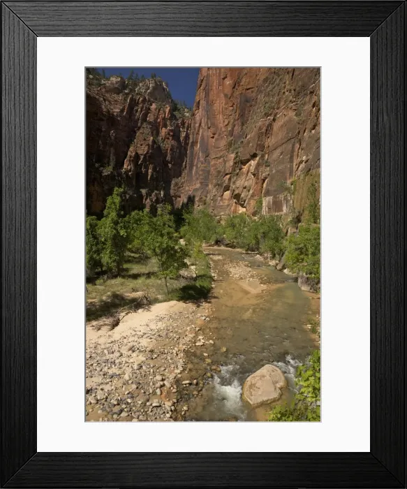 Framed Print : Riverside Walk in Virgin River Canyon, north of Temple of Sinawava, Zion National Park, Utah, United States of America, North America Framed Print : Riverside Walk in Virgin River Canyon, north of Temple of Sinawava, Zion National Park, Utah, United States of America, North America