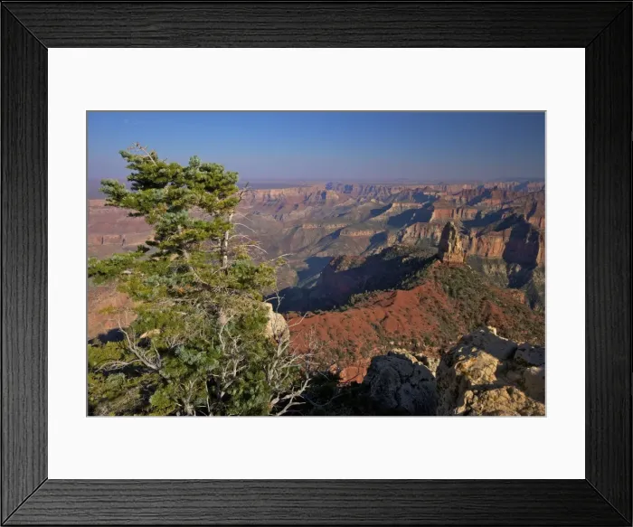 Framed Print : Southeast view, North Rim, Grand Canyon National Park, UNESCO World Heritage Site, Arizona, United States of America, North America Framed Print : Southeast view, North Rim, Grand Canyon National Park, UNESCO World Heritage Site, Arizona, United States of America, North America