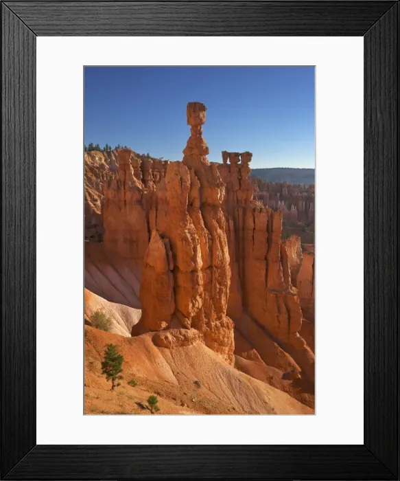 Framed Print : Thors Hammer in early morning from Sunset Point, Bryce Canyon National Park, Utah, United States of America, North America Framed Print : Thors Hammer in early morning from Sunset Point, Bryce Canyon National Park, Utah, United States of America, North America