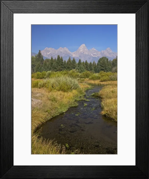 Framed Print : Snake River at the Schwabacher Landing, Grand Teton National Park, Wyoming, United States of America, North America
