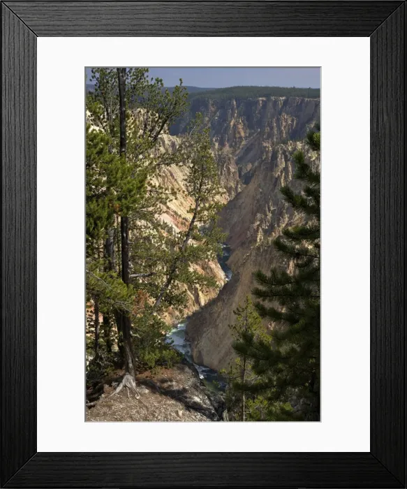 Framed Print : Grand Canyon of the Yellowstone River, from Grand View, Yellowstone National Park, UNESCO World Heritage Site, Wyoming, United States of America, North America Framed Print : Grand Canyon of the Yellowstone River, from Grand View, Yellowstone National Park, UNESCO World Heritage Site, Wyoming, United States of America, North America