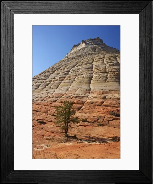 Framed Print : Checkerboard Mesa, formed of Navajo sandstone, Zion National Park, Utah, United States of America, North America Framed Print : Checkerboard Mesa, formed of Navajo sandstone, Zion National Park, Utah, United States of America, North America