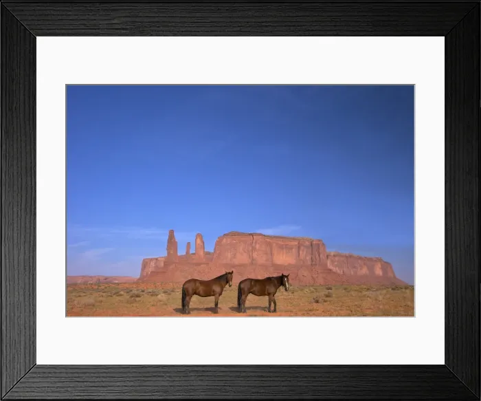 Framed Print : Two Navajo horses, Monument Valley Navajo Tribal Park, Utah, United States of America, North America Framed Print : Two Navajo horses, Monument Valley Navajo Tribal Park, Utah, United States of America, North America