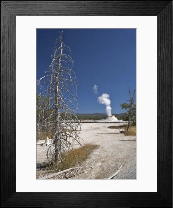 Framed Print : Castle Geyser, Upper Geyser Basin, Yellowstone National Park, UNESCO World Heritage Site, Wyoming, United States of America, North America Framed Print : Castle Geyser, Upper Geyser Basin, Yellowstone National Park, UNESCO World Heritage Site, Wyoming, United States of America, North America