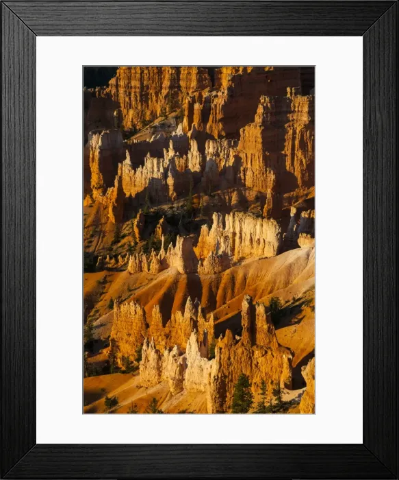 Framed Print : Close up of the pinnacles, beautiful rock formations of Bryce Canyon National Park at sunset, Utah, United States of America, North America Framed Print : Close up of the pinnacles, beautiful rock formations of Bryce Canyon National Park at sunset, Utah, United States of America, North America