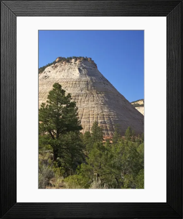 Framed Print : Checkerboard Mesa, formed of Navajo sandstone, Zion National Park, Utah, United States of America, North America Framed Print : Checkerboard Mesa, formed of Navajo sandstone, Zion National Park, Utah, United States of America, North America