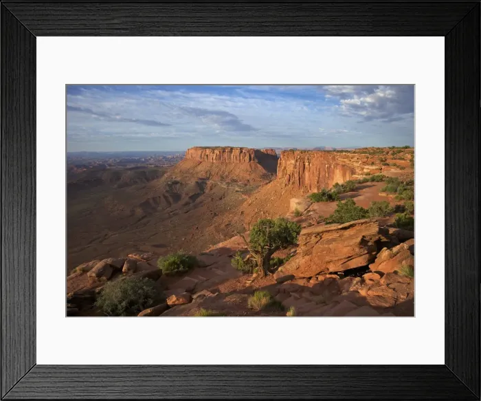 Framed Print : Grand View Point Overlook, Canyonlands National Park, Utah, United States of America, North America Framed Print : Grand View Point Overlook, Canyonlands National Park, Utah, United States of America, North America