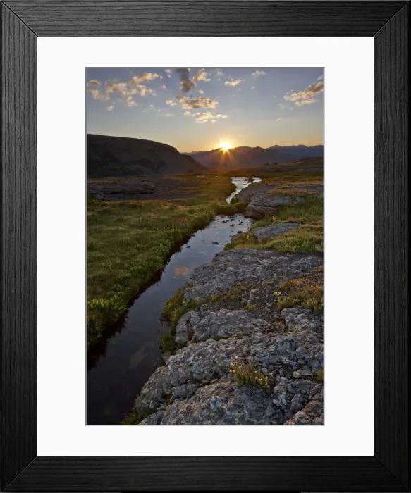 Framed Print : Sunrise in an Alpine meadow with wildflowers, San Juan National Forest, Colorado, United States of America, North America Framed Print : Sunrise in an Alpine meadow with wildflowers, San Juan National Forest, Colorado, United States of America, North America