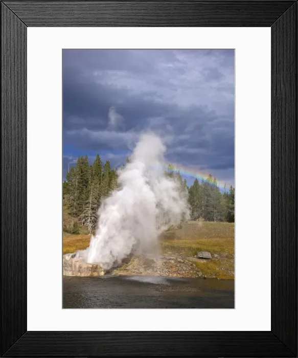 Framed Print : Riverside Geyser, Upper Geyser Basin, Yellowstone National Park, UNESCO World Heritage Site, Wyoming, United States of America, North America Framed Print : Riverside Geyser, Upper Geyser Basin, Yellowstone National Park, UNESCO World Heritage Site, Wyoming, United States of America, North America