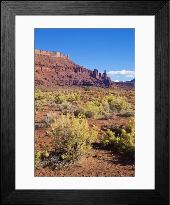Framed Print : Fisher Towers and sagebrush foreground, near Moab, Utah, United States of America, North America Framed Print : Fisher Towers and sagebrush foreground, near Moab, Utah, United States of America, North America