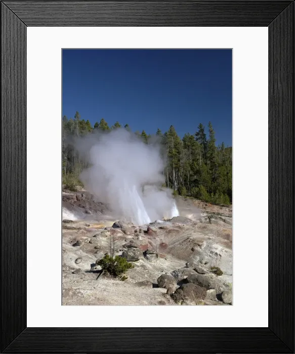 Framed Print : Minor eruption from Steamboat Geyser, Norris Geyser Basin, Yellowstone National Park, UNESCO World Heritage Site, Wyoming, United States of America, North America Framed Print : Minor eruption from Steamboat Geyser, Norris Geyser Basin, Yellowstone National Park, UNESCO World Heritage Site, Wyoming, United States of America, North America