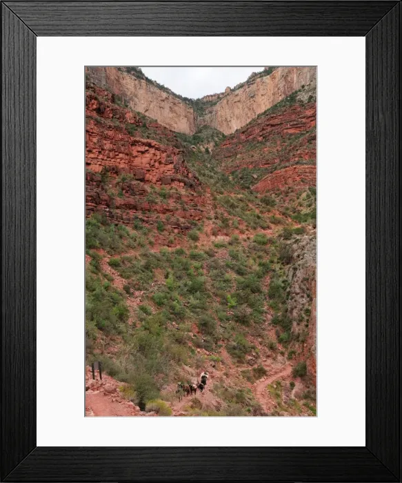 Framed Print : Indian Gardens along the Bright Angel trail, Colorado, United States of America, North America Framed Print : Indian Gardens along the Bright Angel trail, Colorado, United States of America, North America