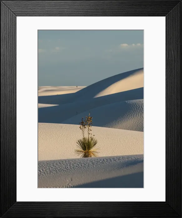 Framed Print : Rippled gypsum, sand dunes in the White Sands National Monument, New Mexico, United States of America, North America Framed Print : Rippled gypsum, sand dunes in the White Sands National Monument, New Mexico, United States of America, North America