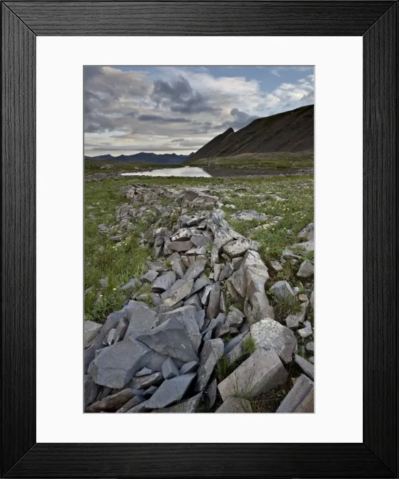 Framed Print : Alpine meadow at dawn, San Juan National Forest, Colorado, United States of America, North America Framed Print : Alpine meadow at dawn, San Juan National Forest, Colorado, United States of America, North America