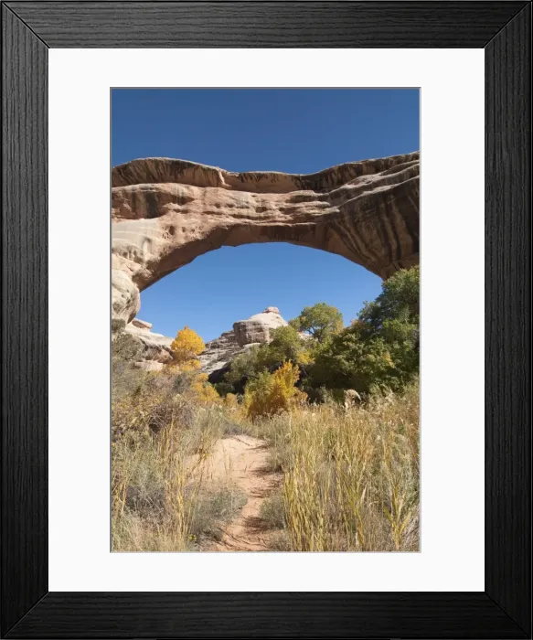 Framed Print : Natural Bridges National Monument, Utah, United States of America, North America Framed Print : Natural Bridges National Monument, Utah, United States of America, North America