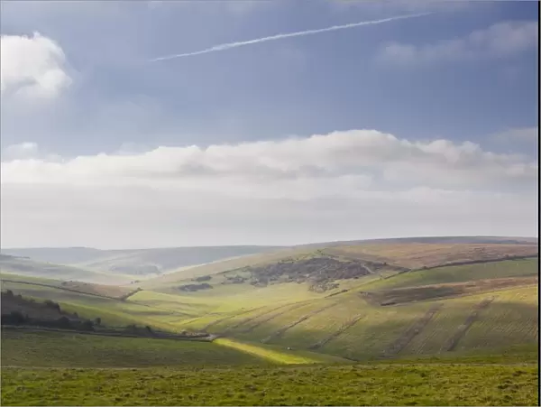 Stump Bottom and the rolling hills of the South Downs National Park near to Brighton, Sussex, England, United Kingdom, Europe