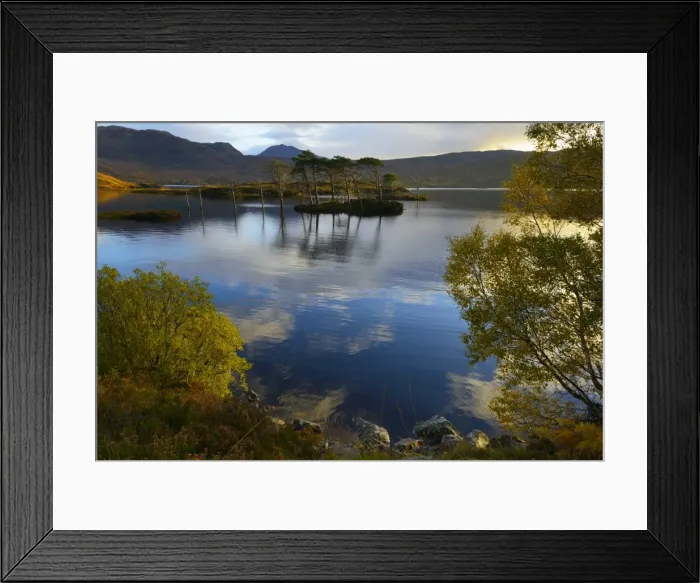 Framed Print : Evening sunlight, Loch Assynt, National Nature Reserve, Sutherland, Highlands, Scotland, United Kingdom, Europe Framed Print : Evening sunlight, Loch Assynt, National Nature Reserve, Sutherland, Highlands, Scotland, United Kingdom, Europe
