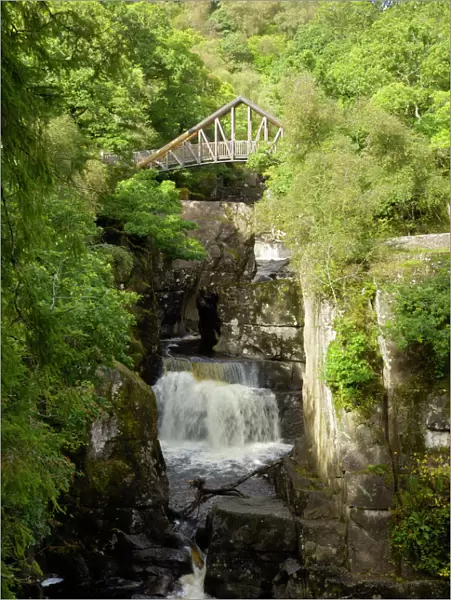 Bracklinn Falls, Callander, Loch Lomond and Trossachs National Park, Stirling, Scotland, United Kingdom, Europe