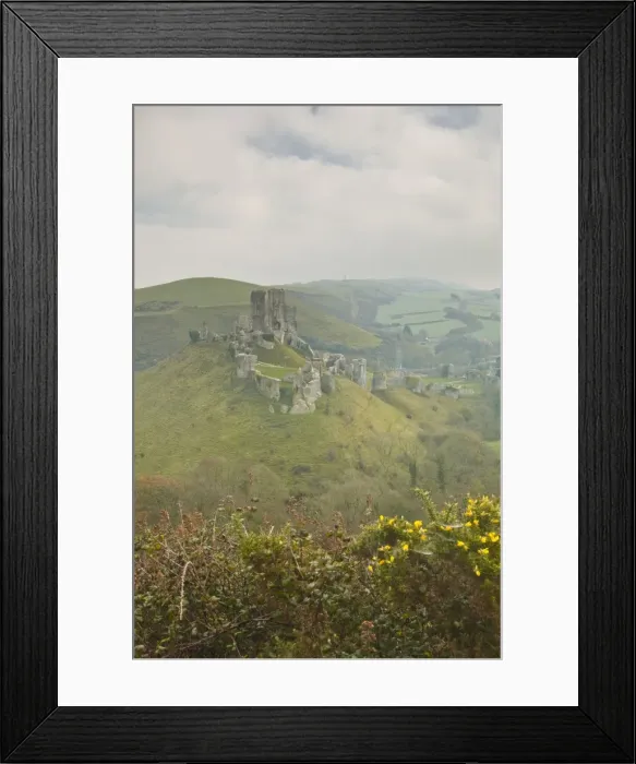 Framed Print : The ruins of Corfe Castle, Dorset, England, United Kingdom, Europe Framed Print : The ruins of Corfe Castle, Dorset, England, United Kingdom, Europe