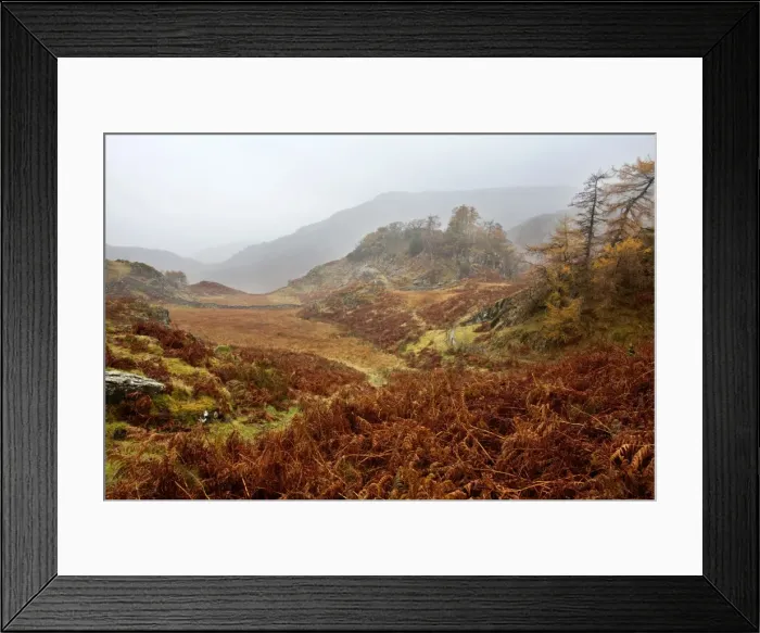 Framed Print : Castle Crag in the mist near Grange, Borrowdale, Lake District National Park, Cumbria, England, United Kingdom, Europe Framed Print : Castle Crag in the mist near Grange, Borrowdale, Lake District National Park, Cumbria, England, United Kingdom, Europe
