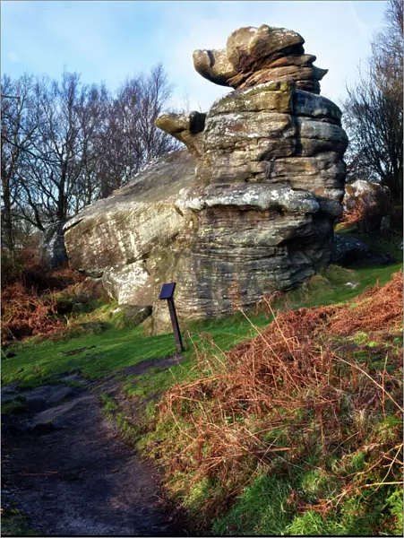 The Dancing Bear at Brimham Rocks near Summerbridge in Nidderdale, North Yorkshire, Yorkshire, England, United Kingdom, Europe