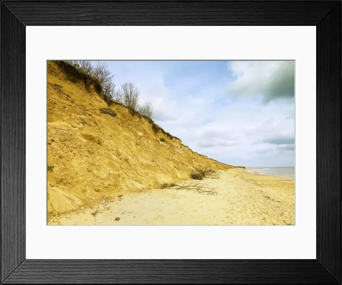 Framed Print : Severe erosion of loose Quaternary glacial sands on this coast that has retreated more than 500m since the1830s, Covehithe, Suffolk, England, United Kingdom, Europe Framed Print : Severe erosion of loose Quaternary glacial sands on this coast that has retreated more than 500m since the1830s, Covehithe, Suffolk, England, United Kingdom, Europe