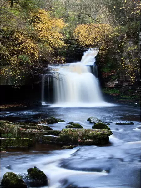 West Burton Waterfall in autumn, Wensleydale, North Yorkshire, England, United Kingdom, Europe