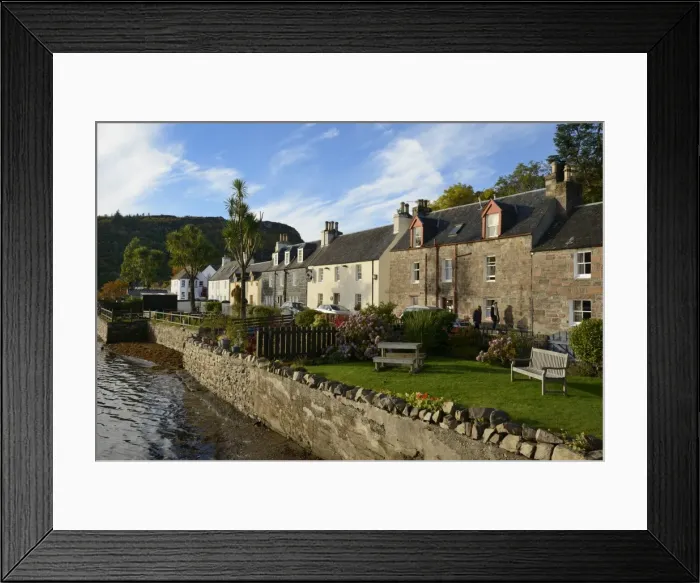 Framed Print : Palm type trees at Plockton village, Highlands, Scotland, United Kingdom, Europe Framed Print : Palm type trees at Plockton village, Highlands, Scotland, United Kingdom, Europe