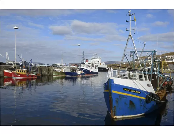 Fishing boats in the harbour, Mallaig, Highlands, Scotland, United Kingdom, Europe