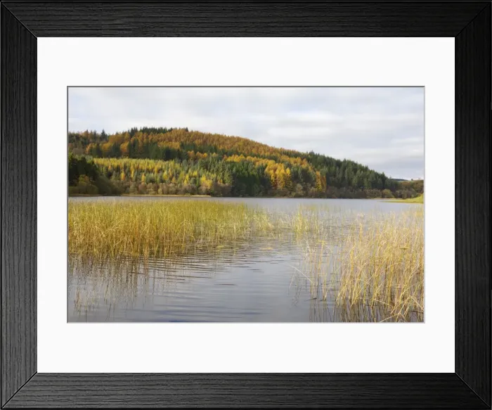 Framed Print : Woodhall Loch, near Laurieston, Dumfries and Galloway, Scotland, United Kingdom, Europe Framed Print : Woodhall Loch, near Laurieston, Dumfries and Galloway, Scotland, United Kingdom, Europe
