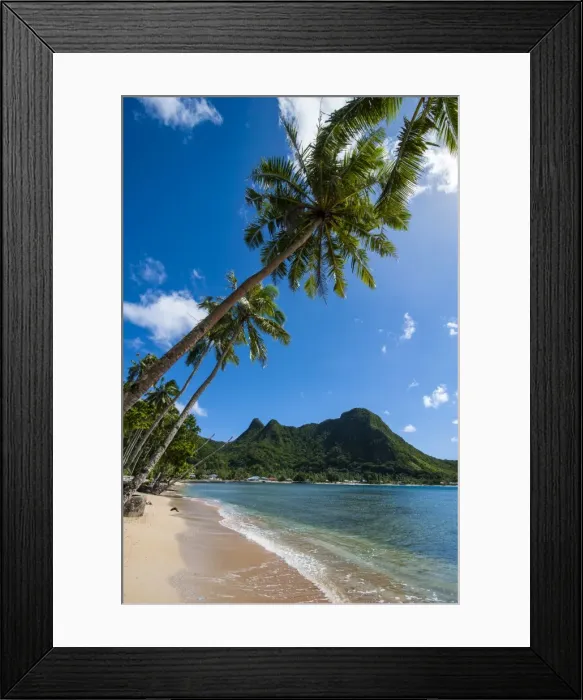 Framed Print : National Park of American Samoa, Tutuila Island, American Samoa, South Pacific, Pacific Framed Print : National Park of American Samoa, Tutuila Island, American Samoa, South Pacific, Pacific