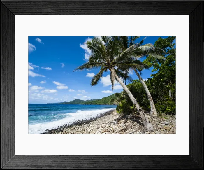 Framed Print : National Park of American Samoa, Tutuila Island, American Samoa, South Pacific, Pacific Framed Print : National Park of American Samoa, Tutuila Island, American Samoa, South Pacific, Pacific