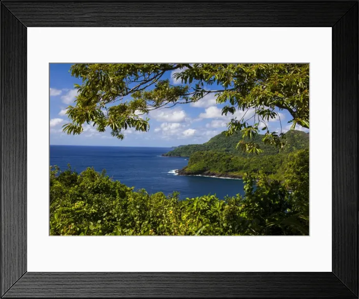 Framed Print : National Park of American Samoa, Tutuila Island, American Samoa, South Pacific, Pacific Framed Print : National Park of American Samoa, Tutuila Island, American Samoa, South Pacific, Pacific