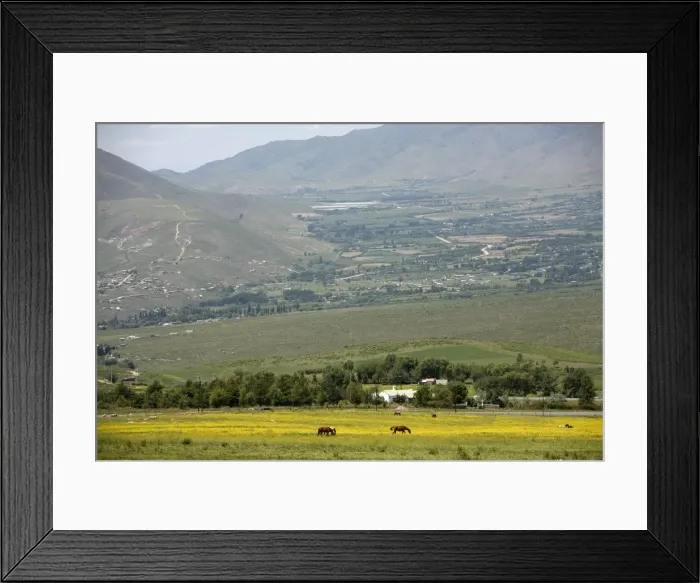 Framed Print : Horses in a field near Tafi del Valle, Salta Province, Argentina, South America Framed Print : Horses in a field near Tafi del Valle, Salta Province, Argentina, South America