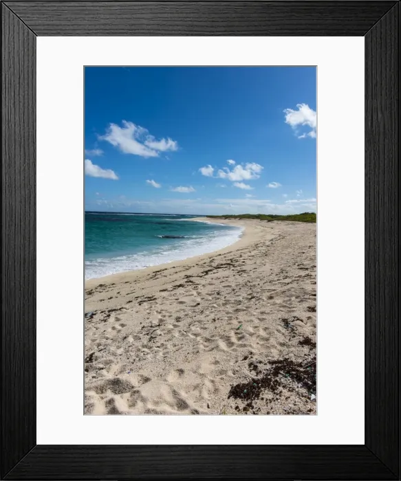 Framed Print : Remote white sand beach in Barbuda, Antigua and Barbuda, West Indies, Caribbean, Central America Framed Print : Remote white sand beach in Barbuda, Antigua and Barbuda, West Indies, Caribbean, Central America