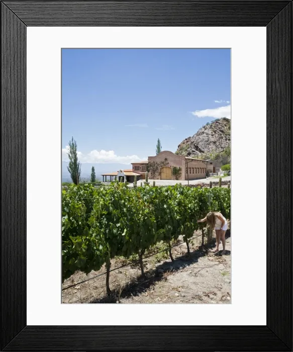 Framed Print : San Pedro de Yacochuya winery in Cafayate, Salta Province, Argentina, South America Framed Print : San Pedro de Yacochuya winery in Cafayate, Salta Province, Argentina, South America