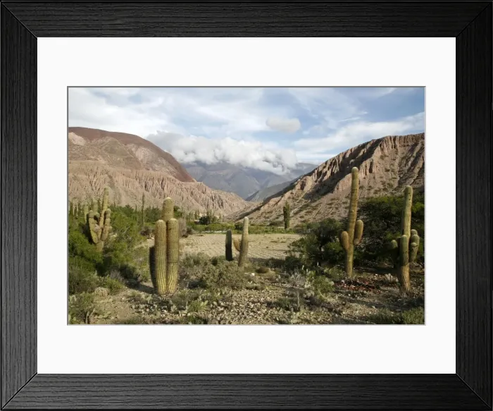 Framed Print : Landscape near Purmamarca, Jujuy Province, Argentina, South America Framed Print : Landscape near Purmamarca, Jujuy Province, Argentina, South America
