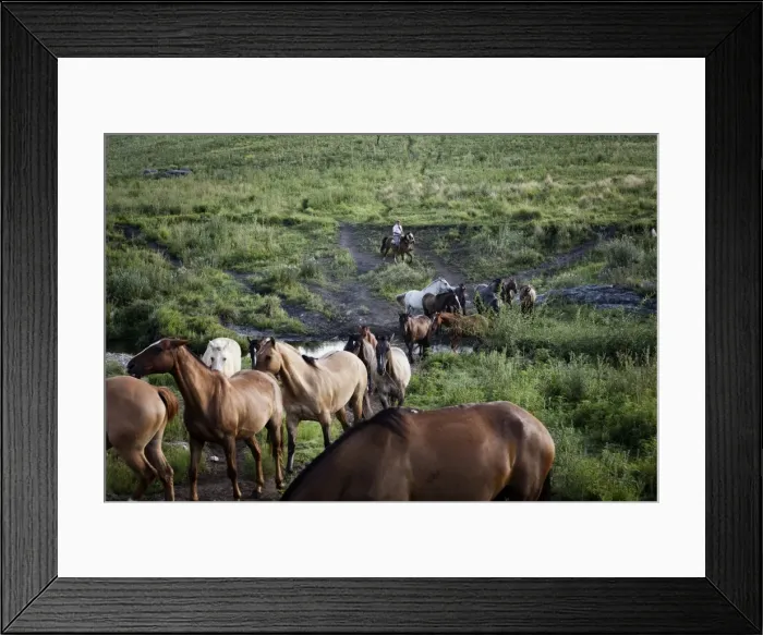 Framed Print : Gaucho with horses at Estancia Los Potreros, Cordoba Province, Argentina, South America Framed Print : Gaucho with horses at Estancia Los Potreros, Cordoba Province, Argentina, South America