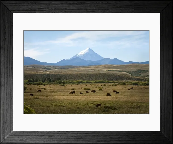 Framed Print : View over Lanin volcano, Lanin National Park, Patagonia, Argentina, South America Framed Print : View over Lanin volcano, Lanin National Park, Patagonia, Argentina, South America