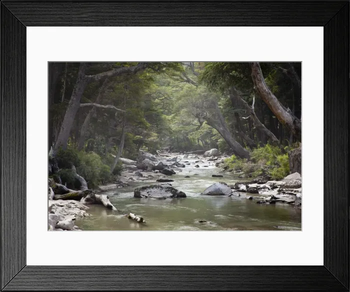Framed Print : Pichi Traful River, Patagonia, Argentina, South America Framed Print : Pichi Traful River, Patagonia, Argentina, South America