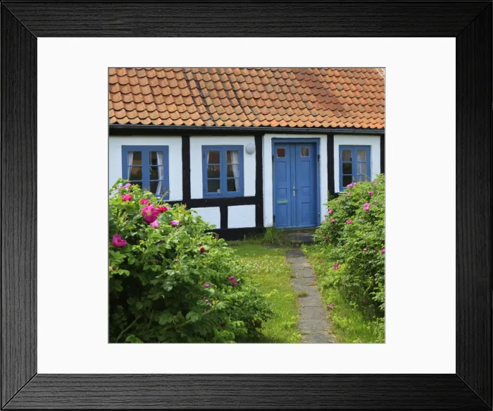 Framed Print : Traditional half-timbered house, Gammel Skagen, Jutland, Denmark, Scandinavia, Europe Framed Print : Traditional half-timbered house, Gammel Skagen, Jutland, Denmark, Scandinavia, Europe