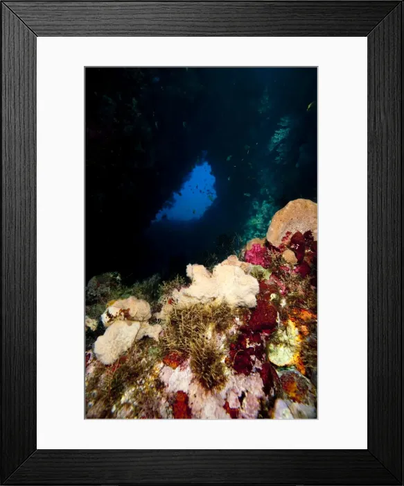 Framed Print : Swim through, Dominica, West Indies, Caribbean, Central America Framed Print : Swim through, Dominica, West Indies, Caribbean, Central America