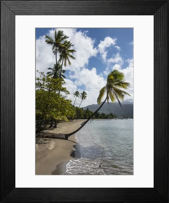 Framed Print : Beach in Prince Rupert Bay, Dominica, West Indies, Caribbean, Central America Framed Print : Beach in Prince Rupert Bay, Dominica, West Indies, Caribbean, Central America