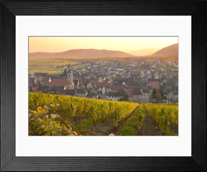Framed Print : Overview of Riquewihr and vineyards at sunset in autumn, Riquewihr, Alsace, France, Europe Framed Print : Overview of Riquewihr and vineyards at sunset in autumn, Riquewihr, Alsace, France, Europe